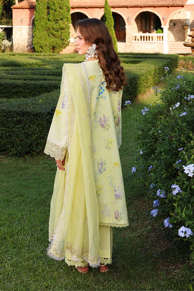 RANG RASIYA MISHA