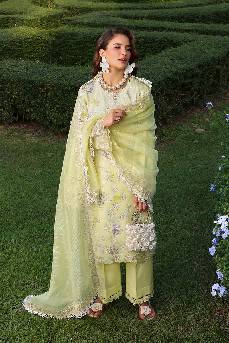 RANG RASIYA MISHA