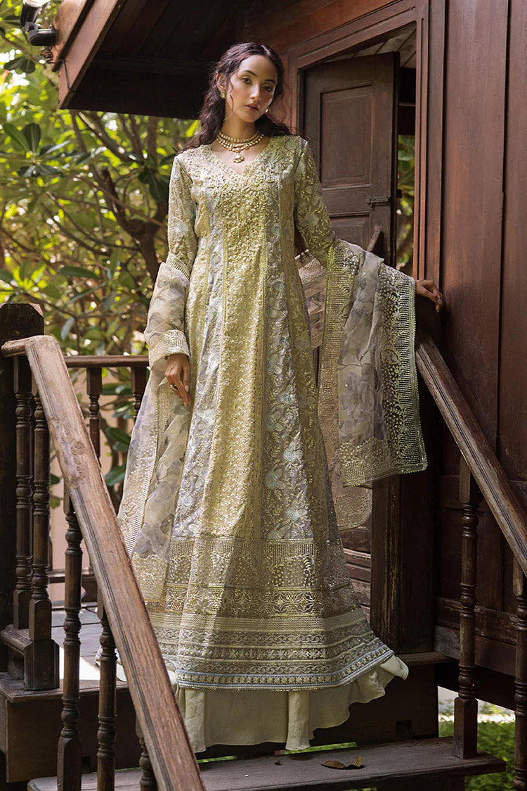 MUSHQ - RIYA MLF-08 Main image