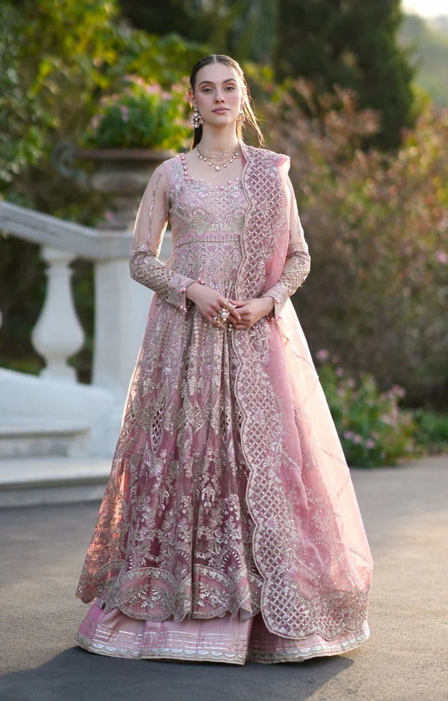 INAYAT FESTIVE FORMALS-25 ELVA Main image