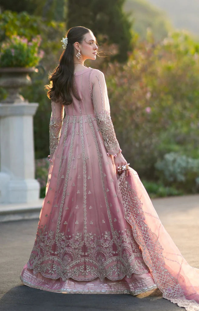 INAYAT FESTIVE FORMALS-25 ELVA