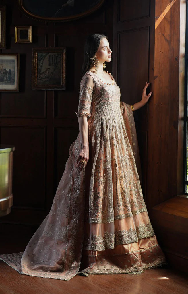 INAYAT FESTIVE FORMALS-25 HAZE Secondary image