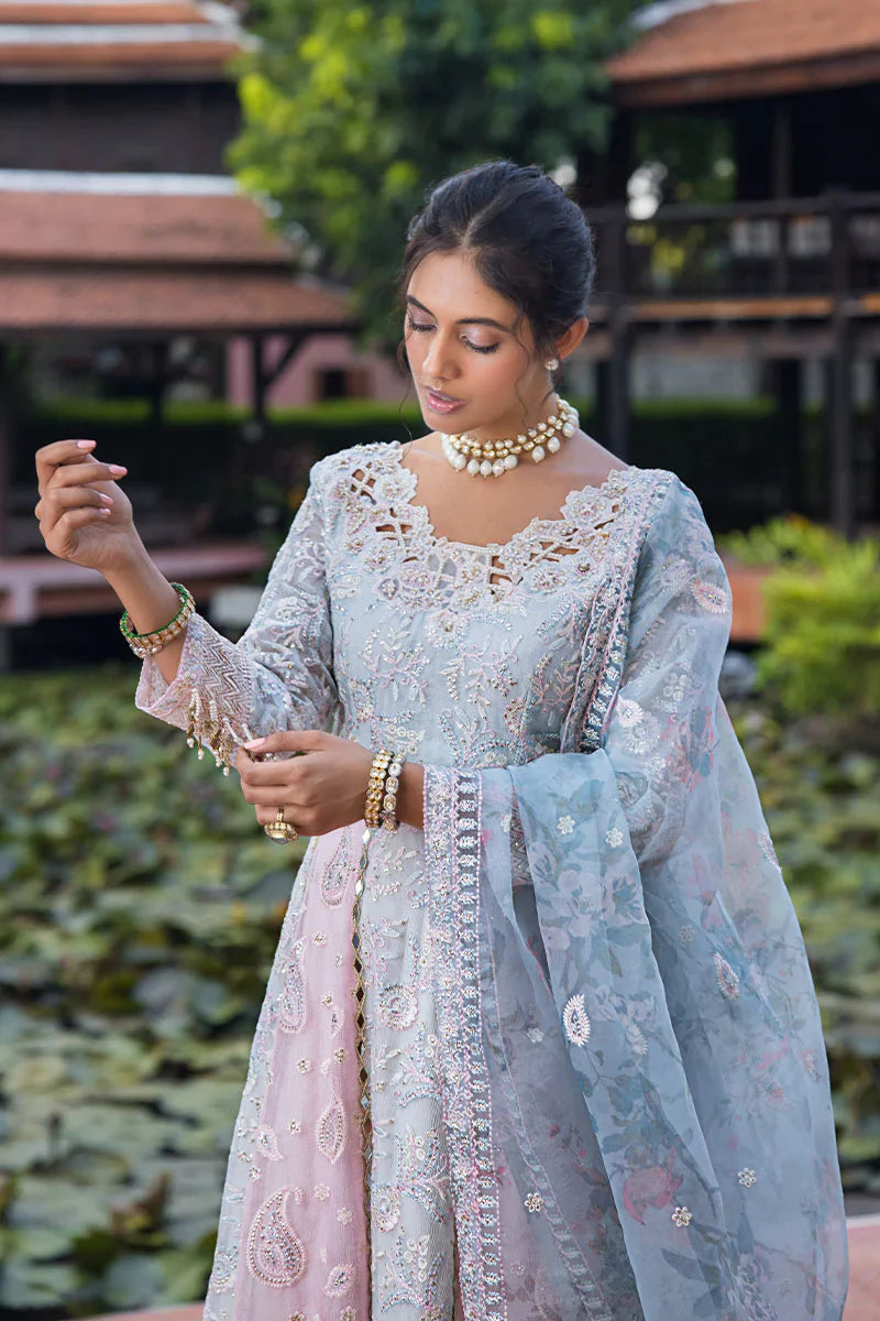 MUSHQ - MISHA MLF-01