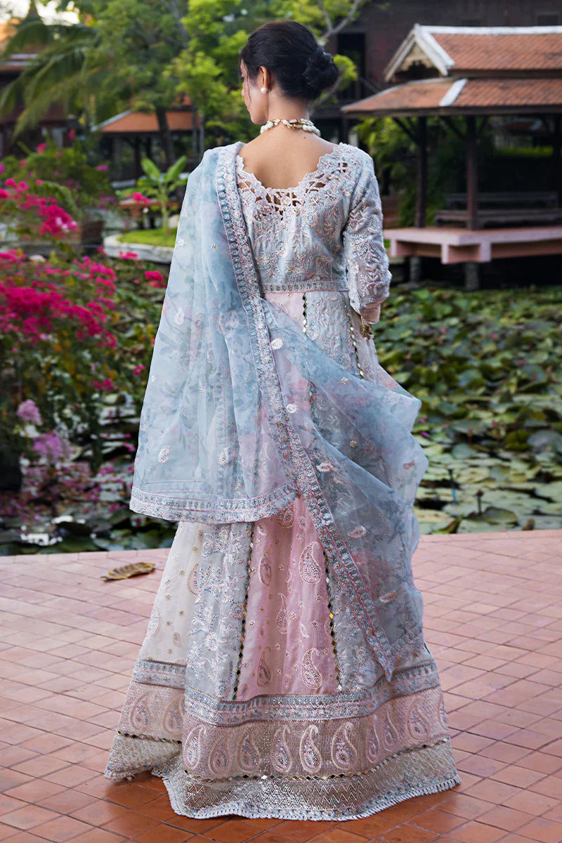 MUSHQ - MISHA MLF-01