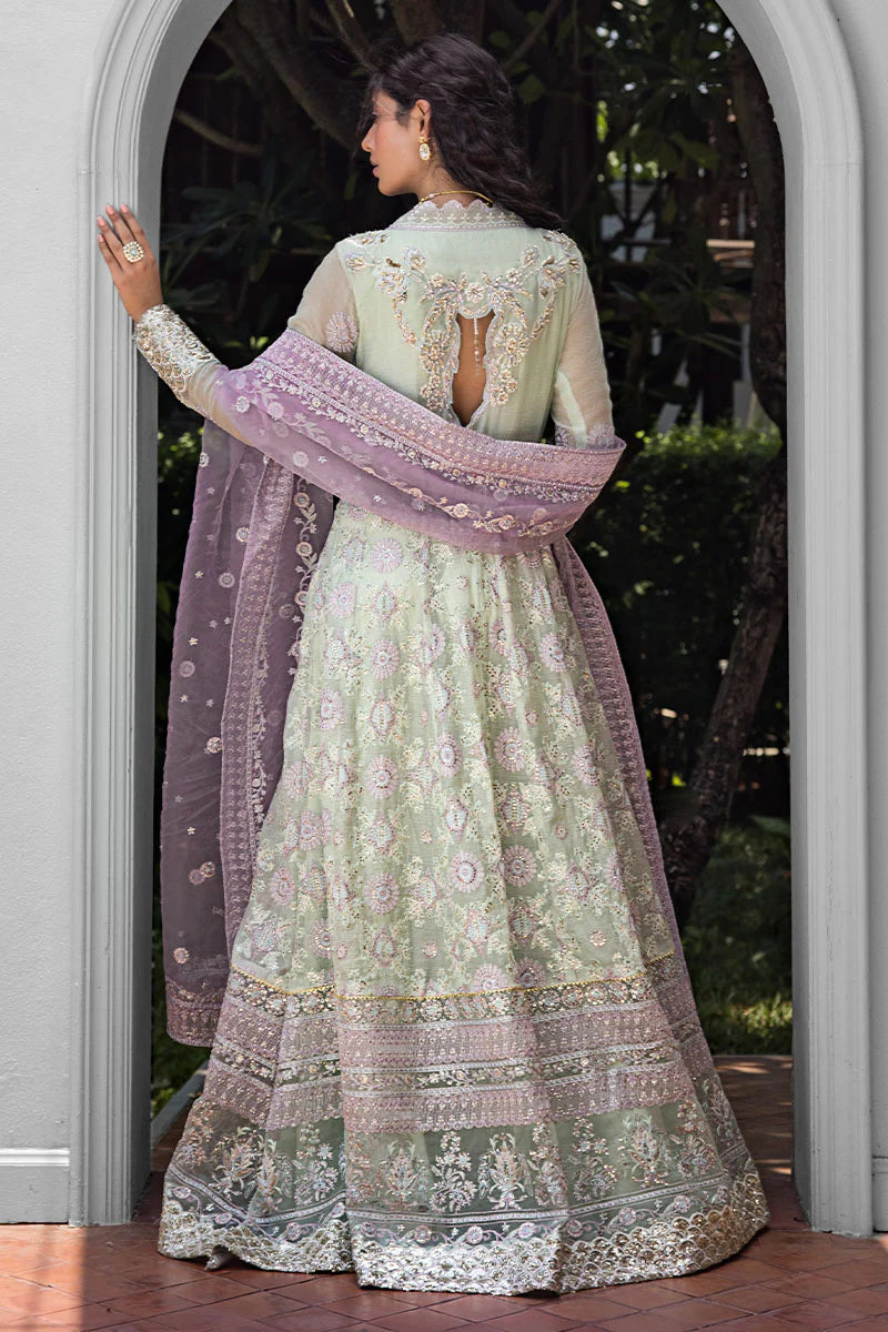 MUSHQ - AARA MLF-09